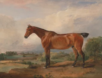 Een jager in een landschap